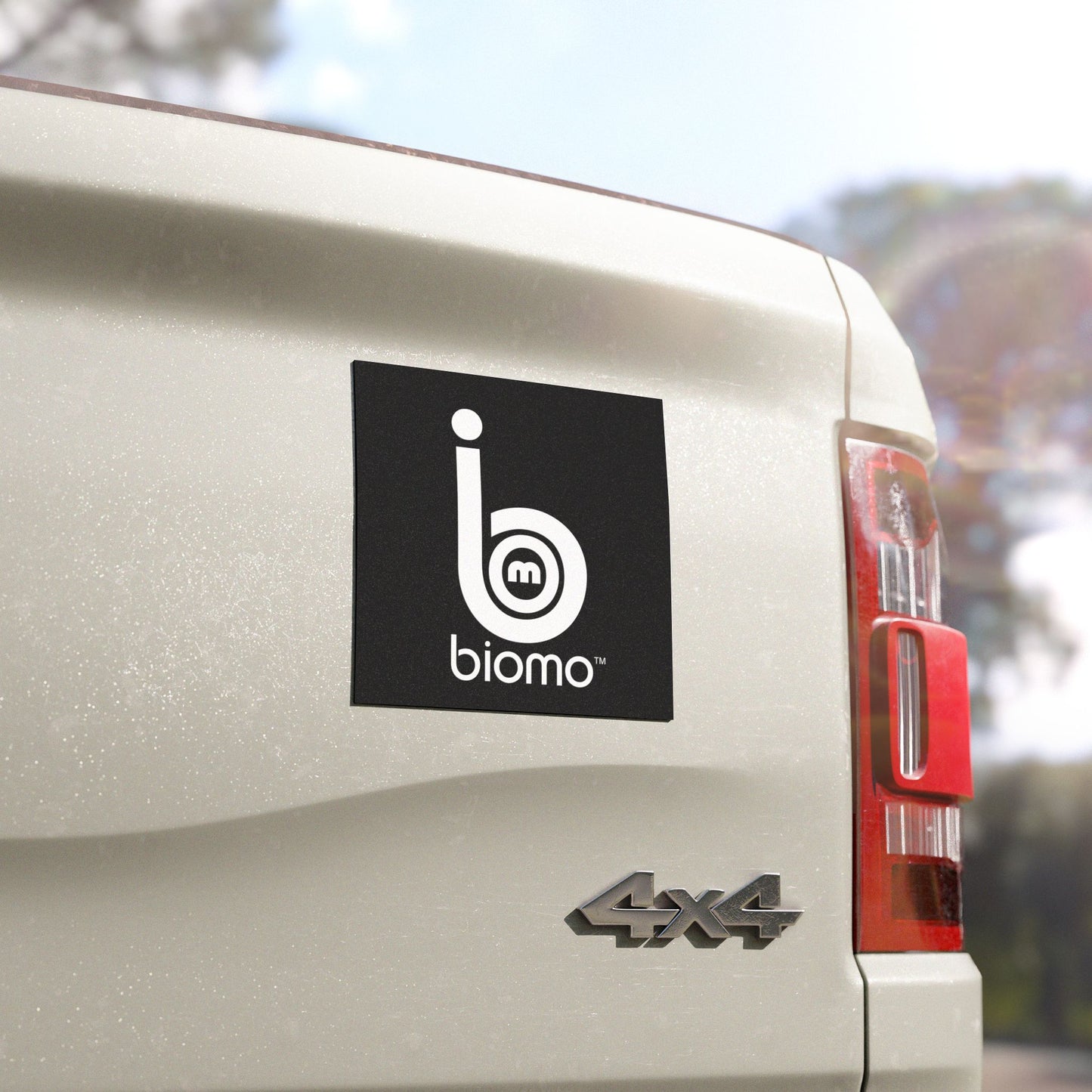 Biomo Magnets